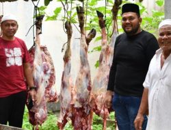 Anggota DPR RI Nasir Djamil Kurbankan Satu Sapi untuk Relawan Barsabnas Langsa