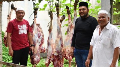 Anggota DPR RI Nasir Djamil Kurbankan Satu Sapi untuk Relawan Barsabnas Langsa