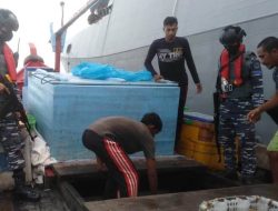 Aktivitas Ilegal Boat Pukat Harimau Marak di Ujung Perleng Laut Aceh Timur dan Langsa