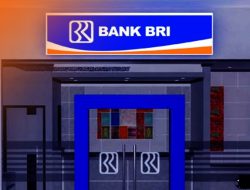 Lowongan Kerja Bank BRI BFLP Batch 1, Cek Syarat dan Kualifikasinya, S1 dan S2 Bisa Daftar