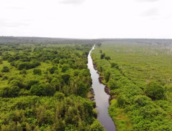 ITB Normalisasi 137 Hektare Gambut untuk Sawah Produktif